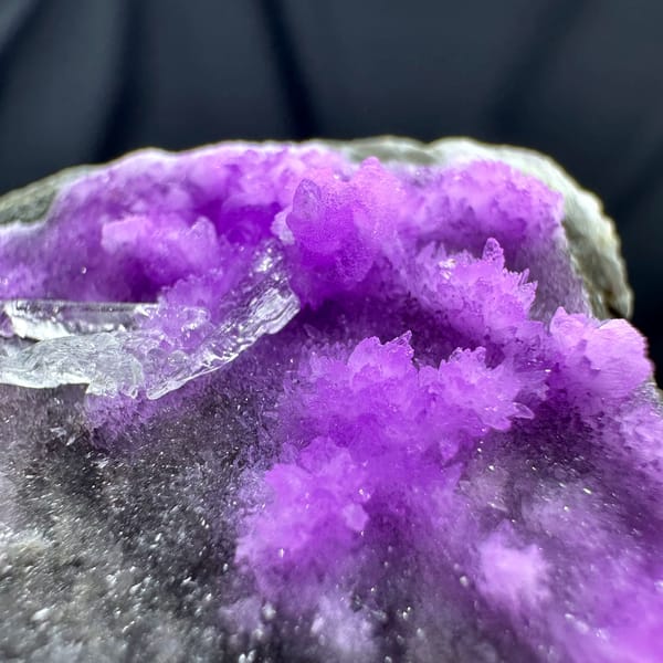 Magenta aragonite needles with clear gypsum on dark matrix from Yunnan, China, reverse side