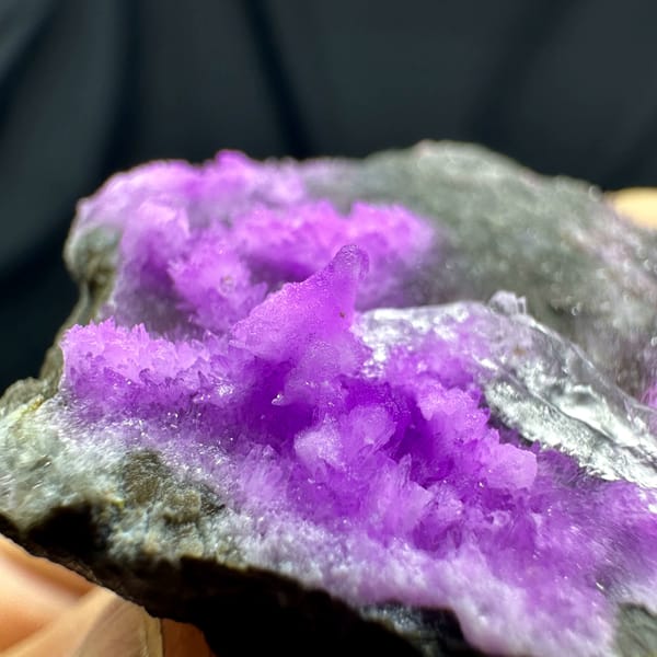 Magenta aragonite needles with clear gypsum on dark matrix from Yunnan, China, top view