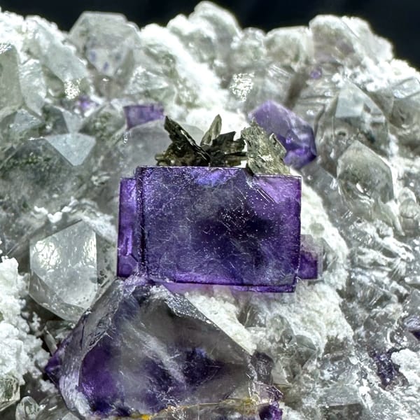 Deep purple fluorite cube on quartz with pyrrhotite from Yaogangxian Mine, Hunan, China, top view