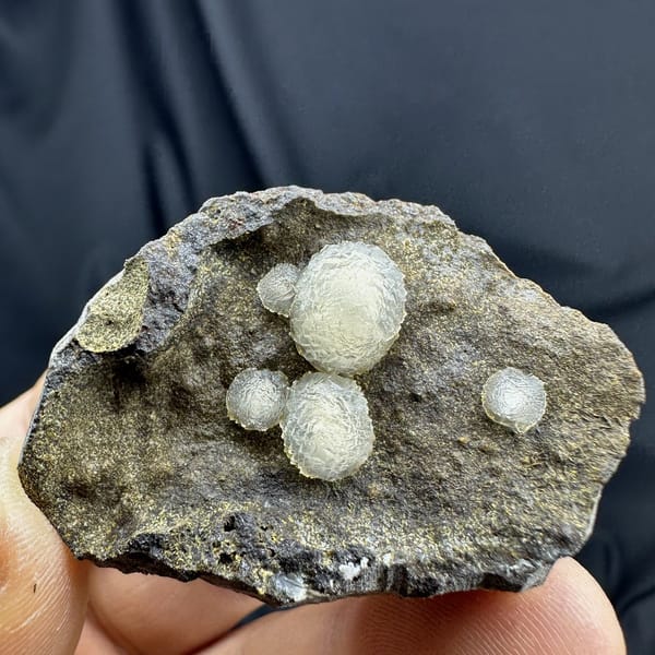 Cream-white botryoidal calcite balls on dark rock from Zhejiang, China, detail of the matrix contact