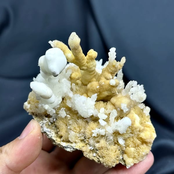 White aragonite spires on golden aragonite base from Guizhou, China, reverse side