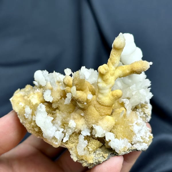 White aragonite spires on golden aragonite base from Guizhou, China, top view