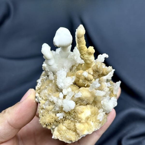 White aragonite spires on golden aragonite base from Guizhou, China, detail of the matrix contact