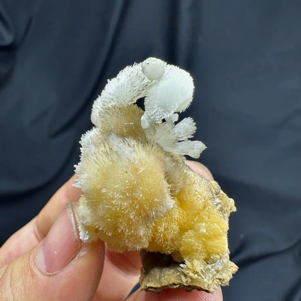 Swan-shaped yellow and white two-tone aragonite from Guizhou, China, held in hand