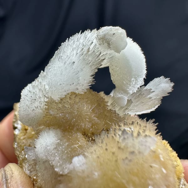 Swan-shaped yellow and white two-tone aragonite from Guizhou, China, second angle