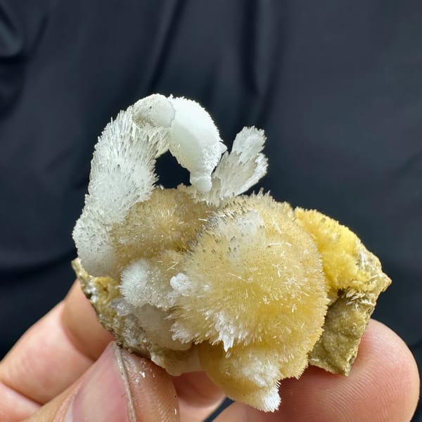 Swan-shaped yellow and white two-tone aragonite from Guizhou, China, reverse side
