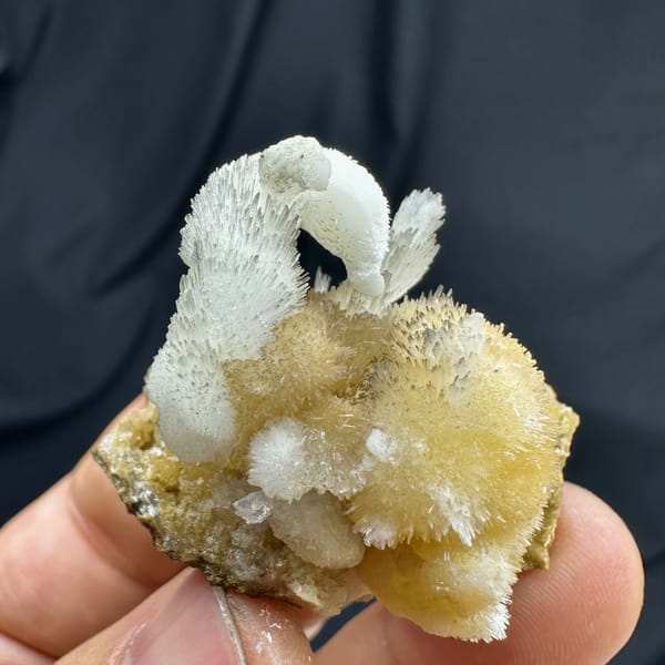 Swan-shaped yellow and white two-tone aragonite from Guizhou, China, top view