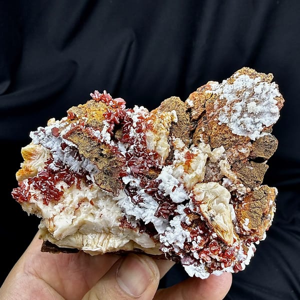Red vanadinite crystals on brown baryte with white aragonite from Morocco, held in hand