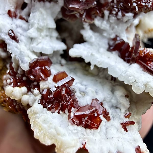Red vanadinite crystals on brown baryte with white aragonite from Morocco, reverse side