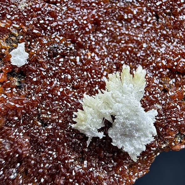 Slab covered in fine red vanadinite druse with aragonite from Morocco, reverse side