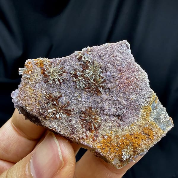 Creedite chrysanthemum sprays on lavender fluorite from Guizhou, China, held in hand