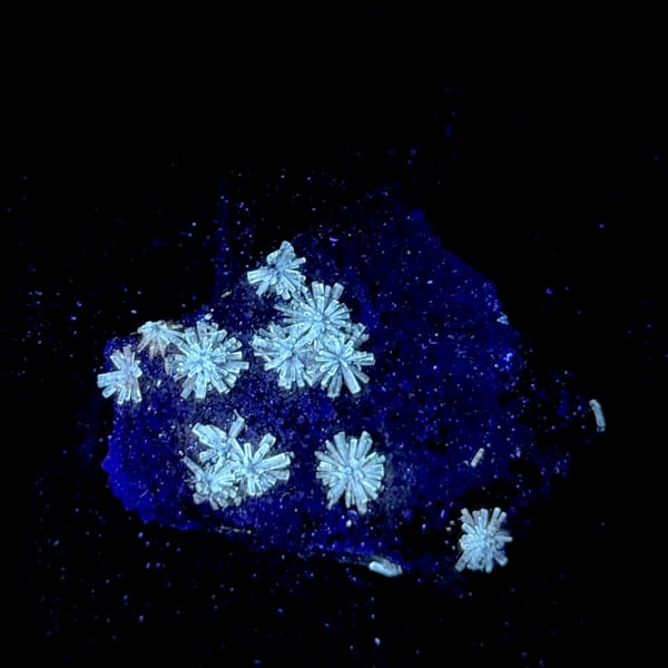 Creedite chrysanthemum sprays on lavender fluorite from Guizhou, China, second angle