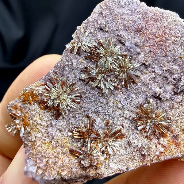 Creedite chrysanthemum sprays on lavender fluorite from Guizhou, China, top view