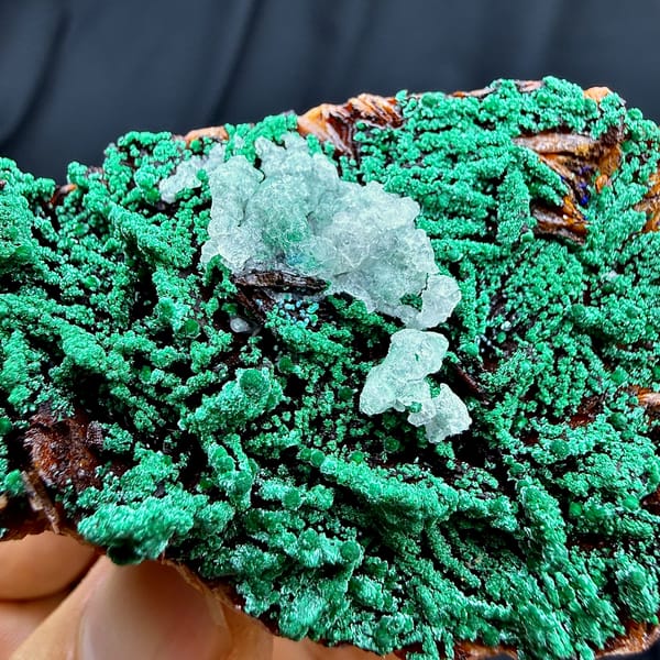 Velvet green malachite with blue azurite knot and baryte from Morocco, top view