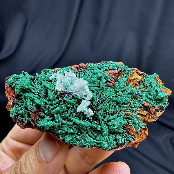 Velvet green malachite with blue azurite knot and baryte from Morocco, detail of the matrix contact
