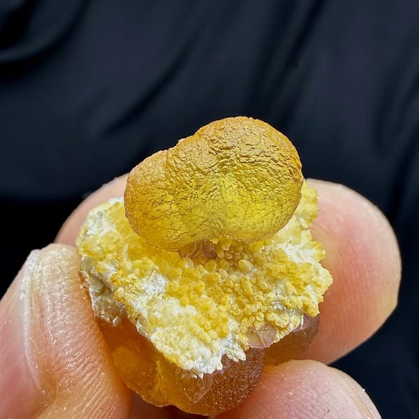 Golden-yellow botryoidal fluorite ball on white quartz from Henan, China, held in hand