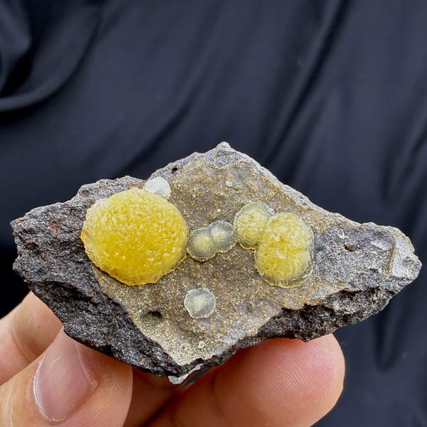 Egg-yolk yellow botryoidal calcite balls on dark matrix from Zhejiang, China, held in hand