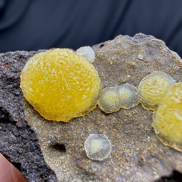 Egg-yolk yellow botryoidal calcite balls on dark matrix from Zhejiang, China, second angle