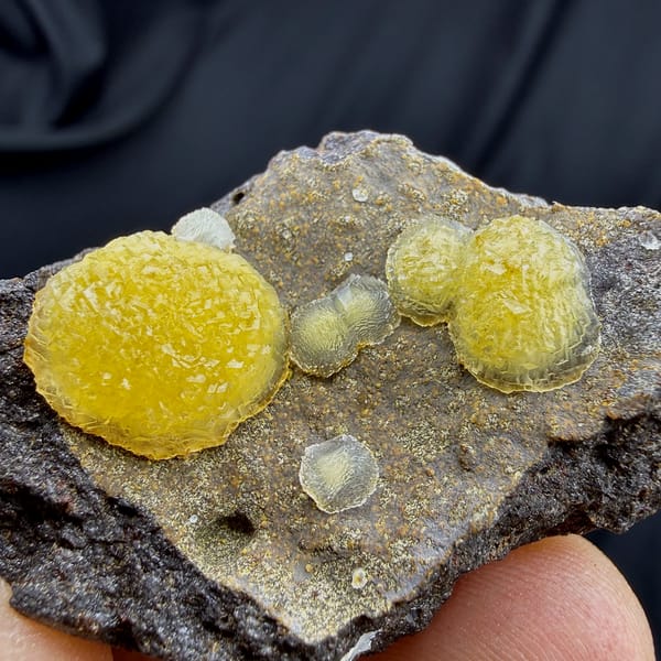 Egg-yolk yellow botryoidal calcite balls on dark matrix from Zhejiang, China, close-up of the crystal faces