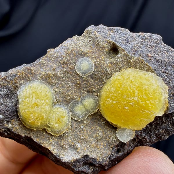 Egg-yolk yellow botryoidal calcite balls on dark matrix from Zhejiang, China, reverse side