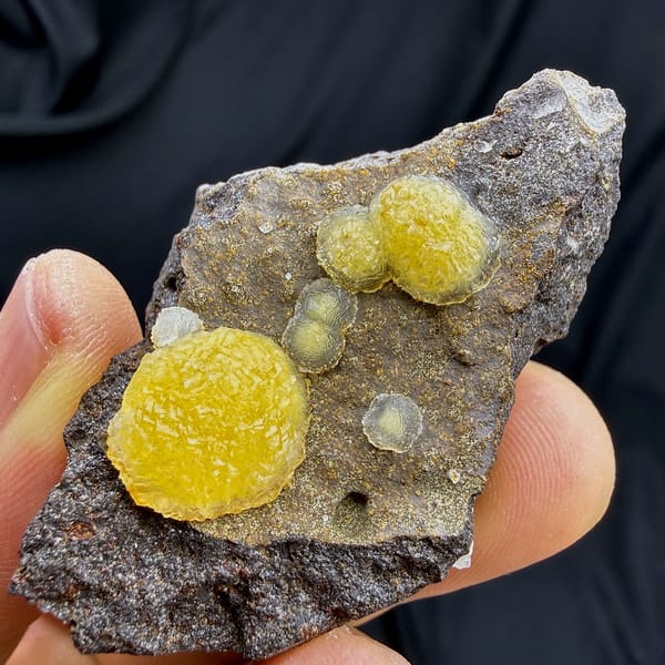Egg-yolk yellow botryoidal calcite balls on dark matrix from Zhejiang, China, top view