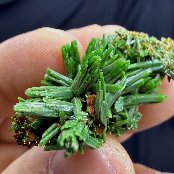 Thicket of grass-green pyromorphite prisms from Guangxi, China, reverse side