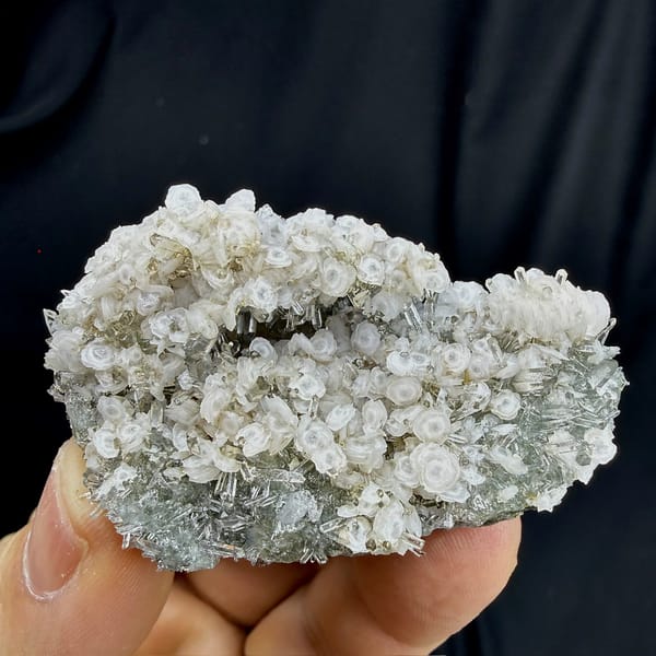 Coin-shaped calcite discs on clear quartz needles from Fujian, China, held in hand