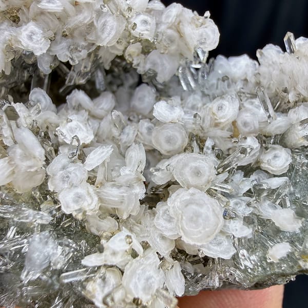 Coin-shaped calcite discs on clear quartz needles from Fujian, China, close-up of the crystal faces