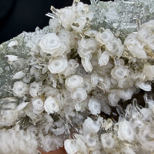 Coin-shaped calcite discs on clear quartz needles from Fujian, China, reverse side