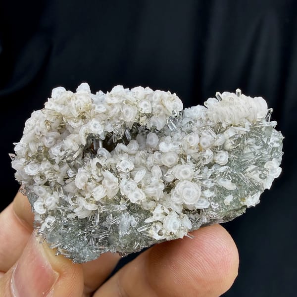 Coin-shaped calcite discs on clear quartz needles from Fujian, China, top view