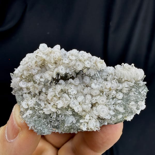 Coin-shaped calcite discs on clear quartz needles from Fujian, China, detail of the matrix contact