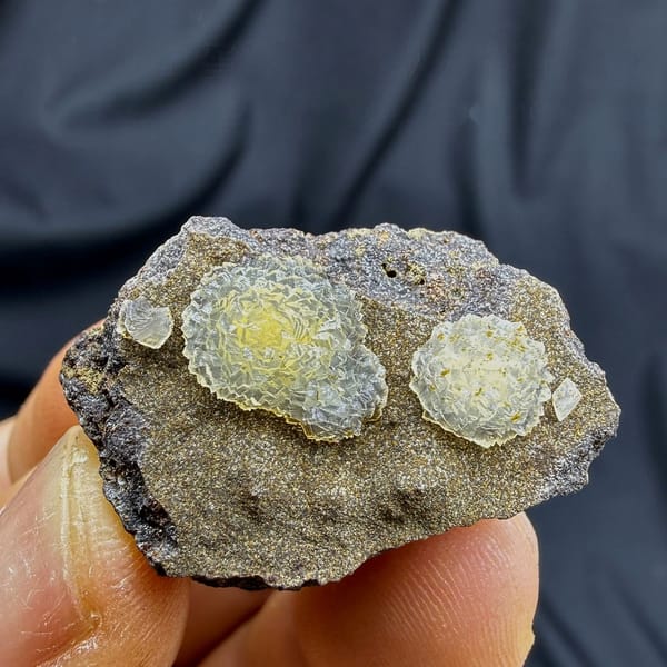 Two yellow soft-centred botryoidal calcite balls on brown matrix from Zhejiang, China