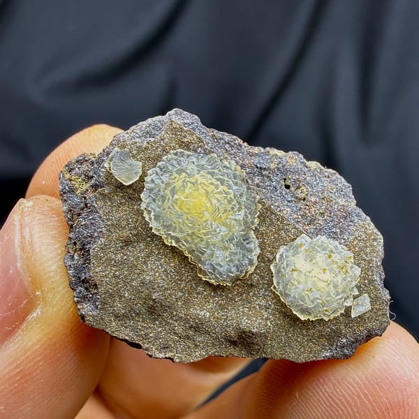 Two yellow soft-centred botryoidal calcite balls on brown matrix from Zhejiang, China, reverse side