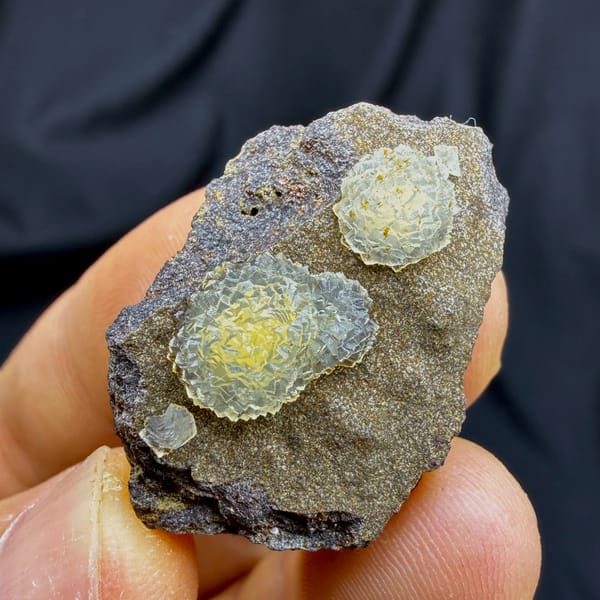 Two yellow soft-centred botryoidal calcite balls on brown matrix from Zhejiang, China, top view