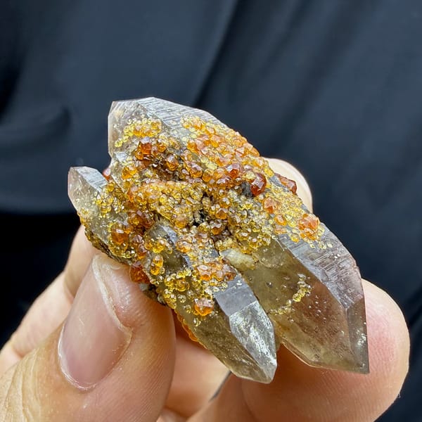 Smoky double-terminated quartz with orange spessartine garnets from Yunxiao, Fujian, China, close-up of the crystal faces