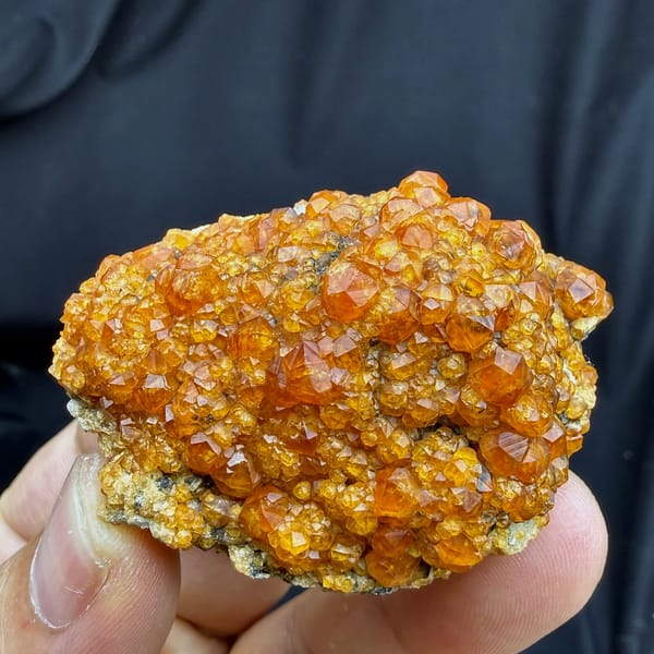 Plate of Fanta-orange spessartine garnet crystals from Yunxiao, Fujian, China, held in hand