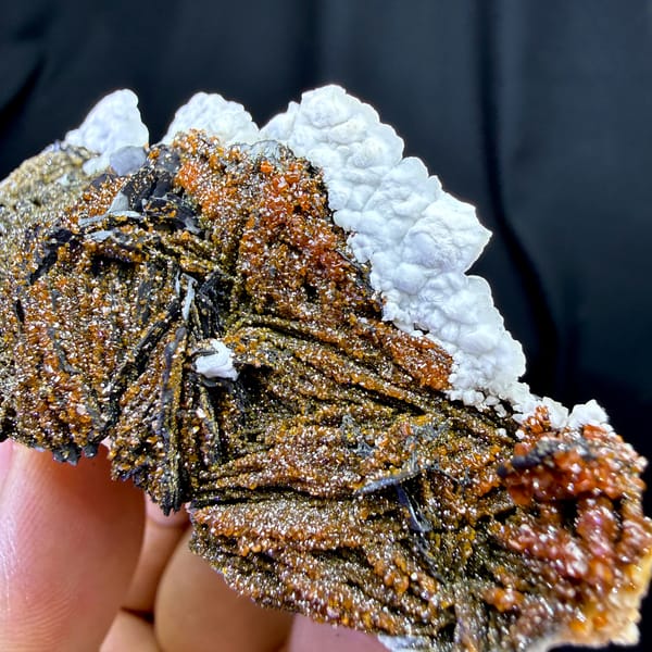 Red vanadinite on brown baryte with white aragonite from Morocco, close-up of the crystal faces