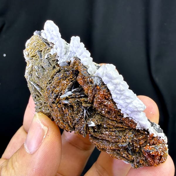 Red vanadinite on brown baryte with white aragonite from Morocco, top view