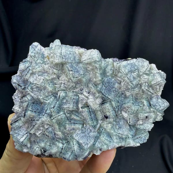 Plate of blue-and-white porcelain fluorite cubes from Inner Mongolia, China, held in hand