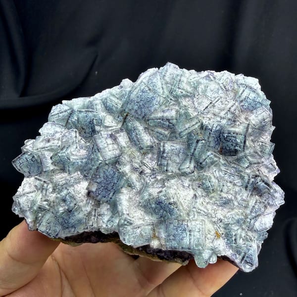 Plate of blue-and-white porcelain fluorite cubes from Inner Mongolia, China, close-up of the crystal faces