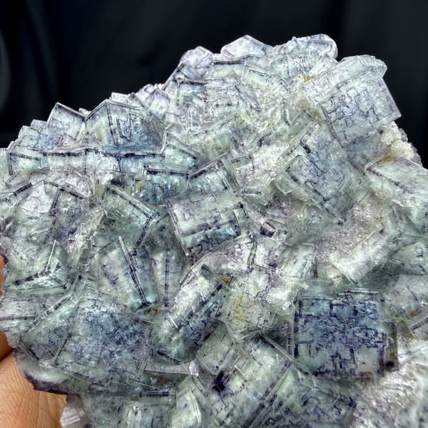 Plate of blue-and-white porcelain fluorite cubes from Inner Mongolia, China, reverse side