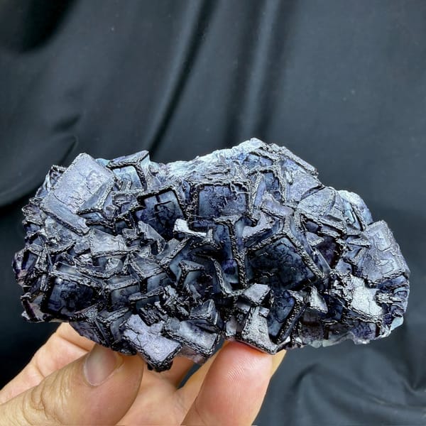 Inky blue fluorite cubes with purple rims from Inner Mongolia, China, held in hand