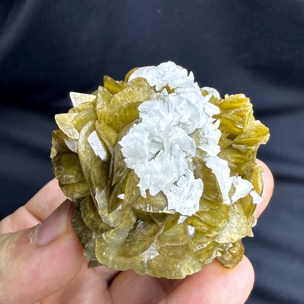 Golden-brown siderite crystals capped with white dolomite from Guizhou, China, close-up of the crystal faces