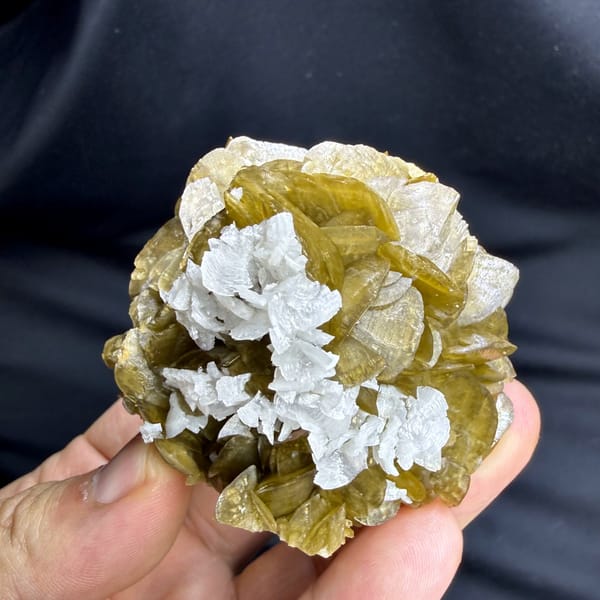 Golden-brown siderite crystals capped with white dolomite from Guizhou, China, reverse side
