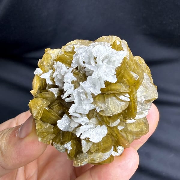 Golden-brown siderite crystals capped with white dolomite from Guizhou, China, top view