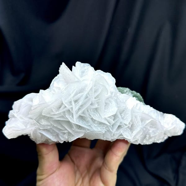 Large rose of white bladed calcite with green fluorite from Hunan, China, held in hand