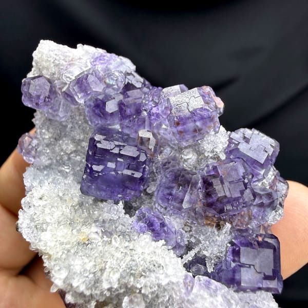 Violet-blue fluorite cubes on white quartz from Fujian, China, second angle