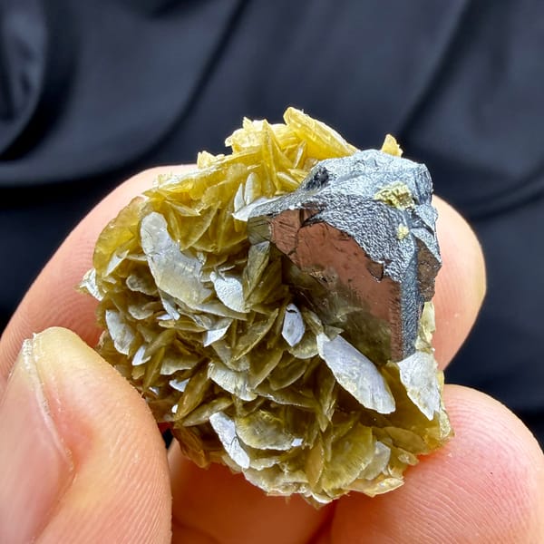 Steel-grey tetrahedrite crystal on golden siderite with chalcopyrite from Guizhou, China, reverse side