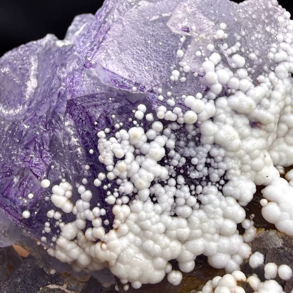 Violet fluorite cubes among white botryoidal aragonite from Yunnan, China, reverse side