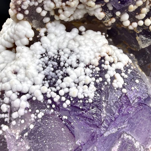 Violet fluorite cubes among white botryoidal aragonite from Yunnan, China, top view